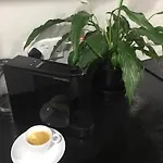 A.v 拉纳卡